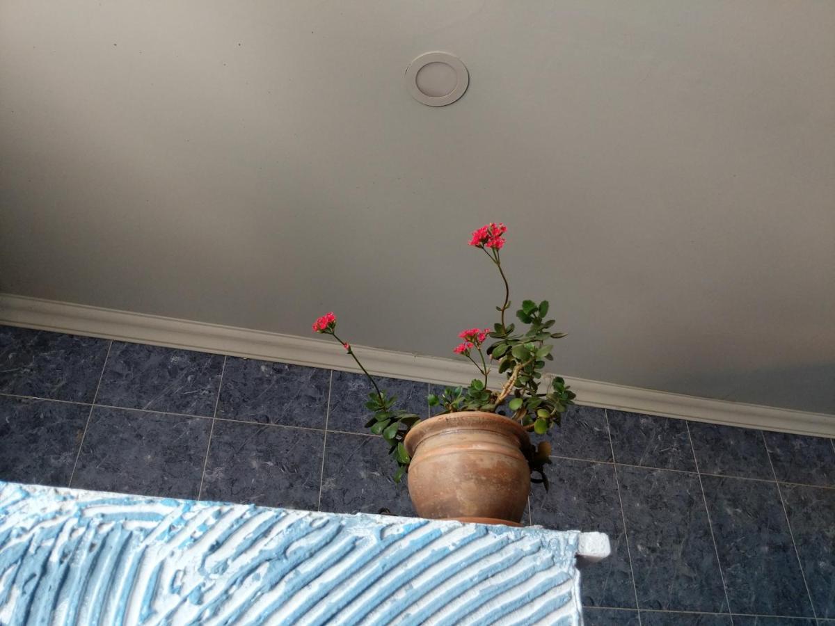 Hostel Diwan Tbilisi Zewnętrze zdjęcie